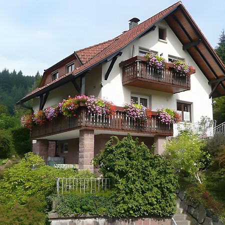 Haus Herbert Panter Bad Peterstal-Griesbach Exteriér fotografie