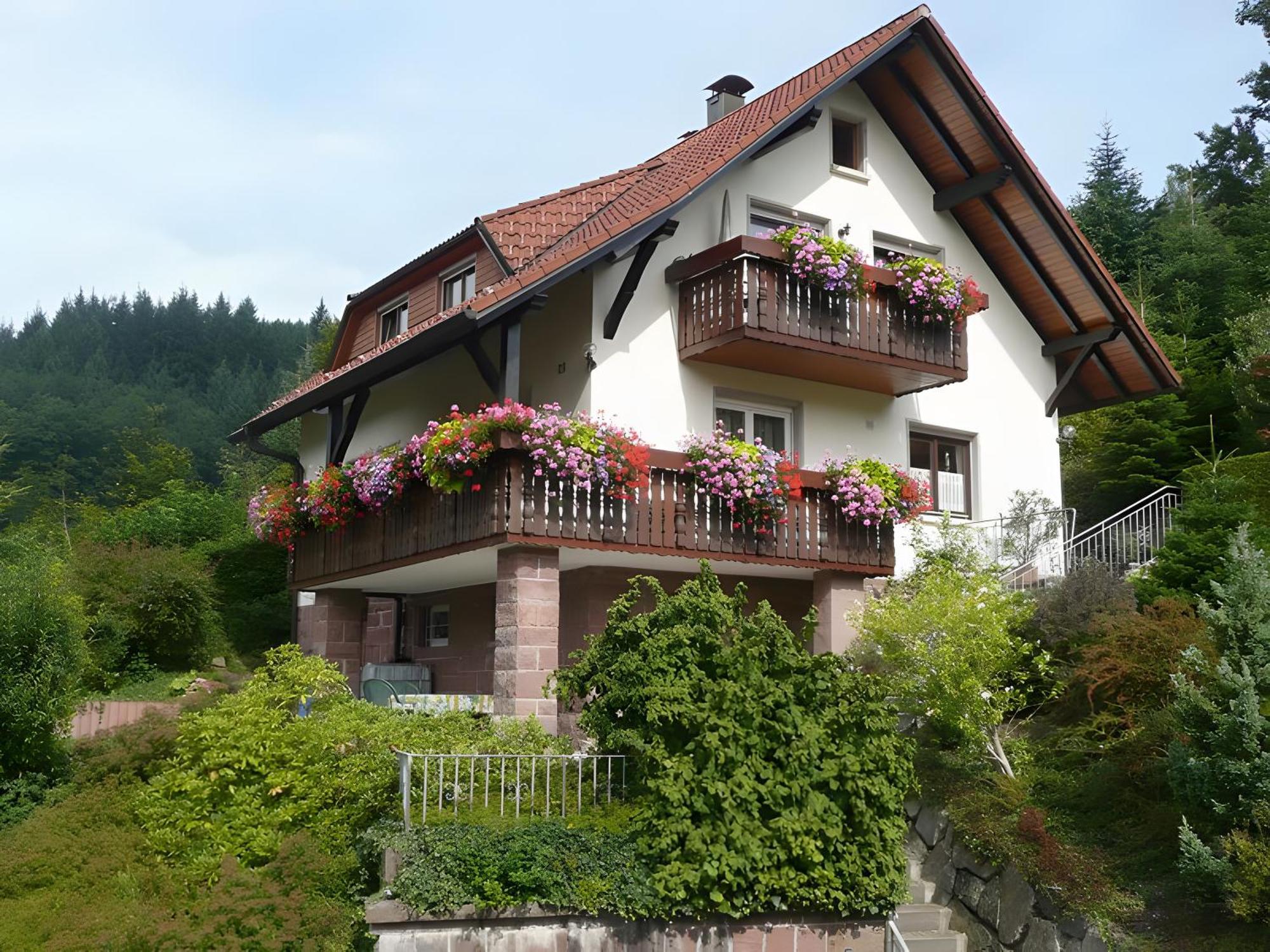 Haus Herbert Panter Bad Peterstal-Griesbach Exteriér fotografie